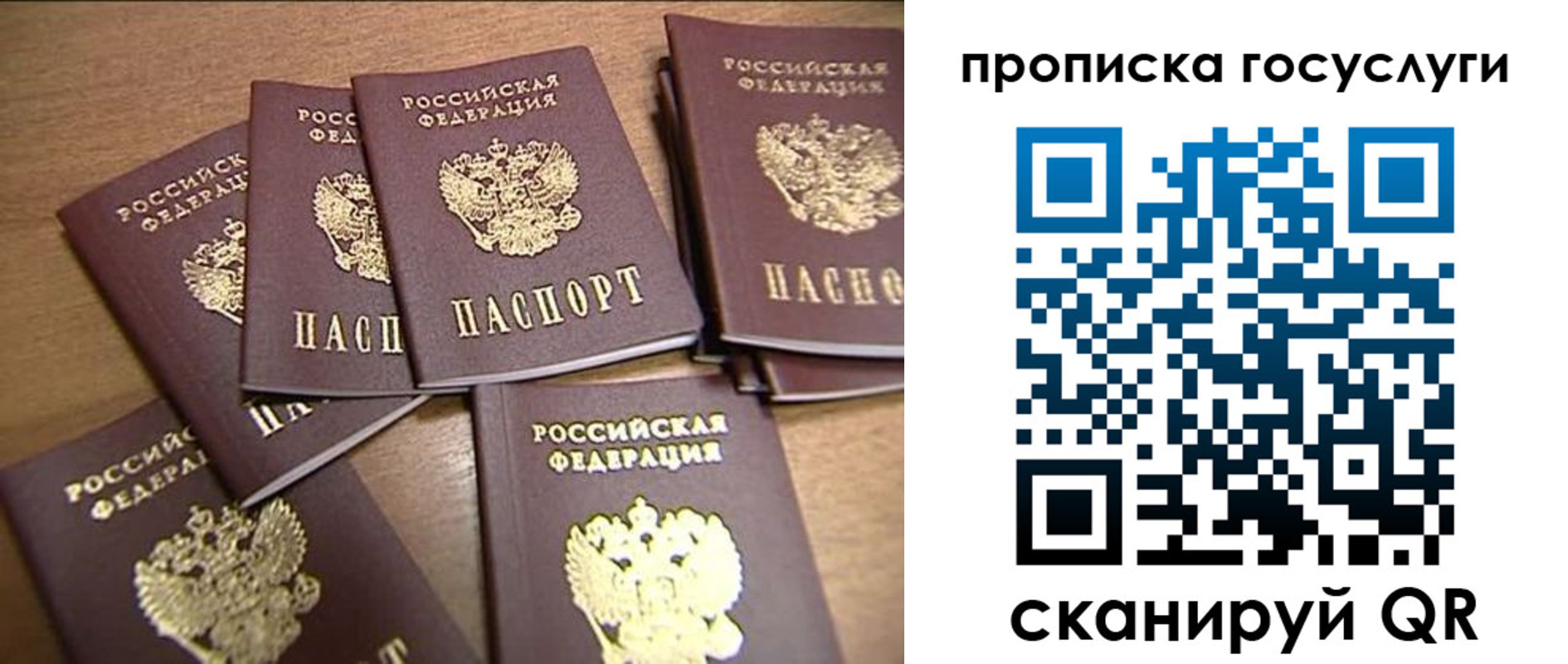 прописка ребенка в Советске